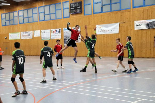SpVgg Diepersdorf - TSV 1904 Feucht 24:31 (11:14)